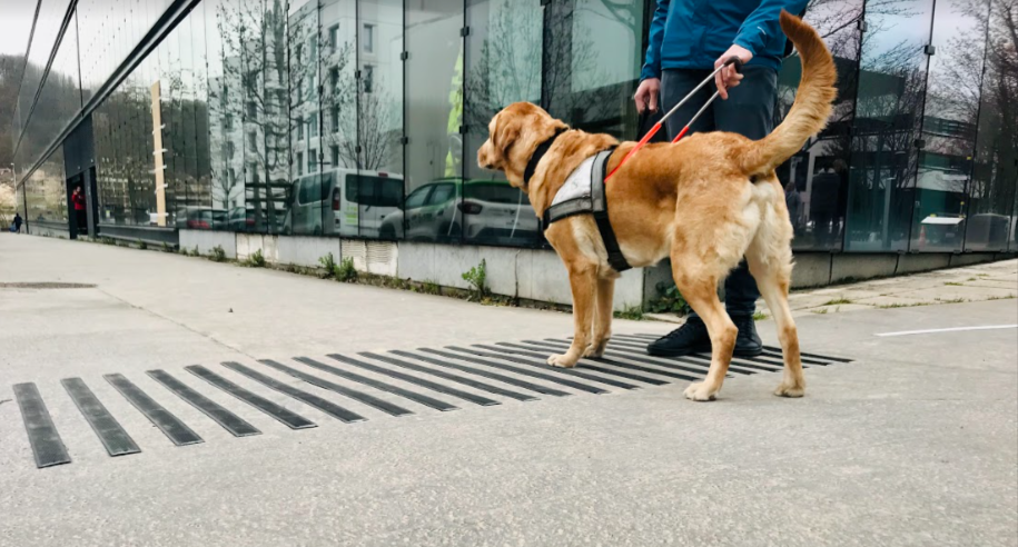 Omnisens signalétique multisensoriel pour DV